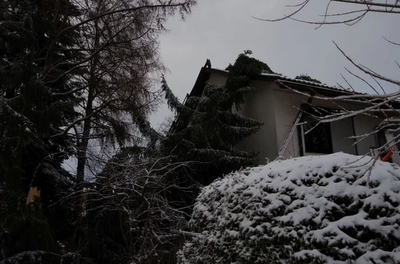 20180117_Baum_auf_Haus_02.jpg