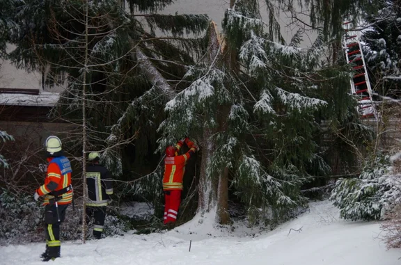 20180117_Baum_auf_Haus_03.jpg