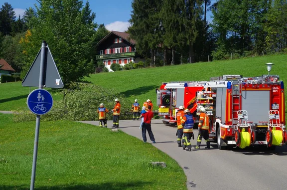 20150927_Baum_auf_Strasse_1.jpg